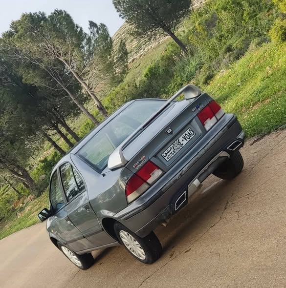 شام شام 2009 - صورة 5