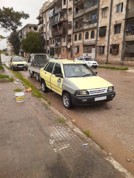 سايبا سابا 2010 - صورة 4