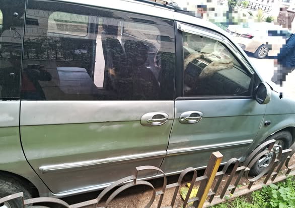 كيا كرنفال 2002 - صورة 2