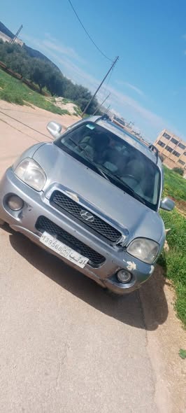 هيونداي سانتا في 2004 - صورة 1