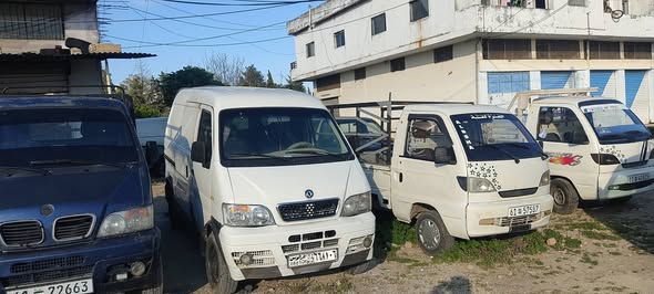 هافي توني 2005 - صورة 3