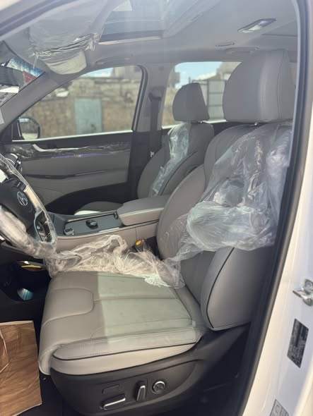 هيونداي باليسيد 2024 - صورة 5