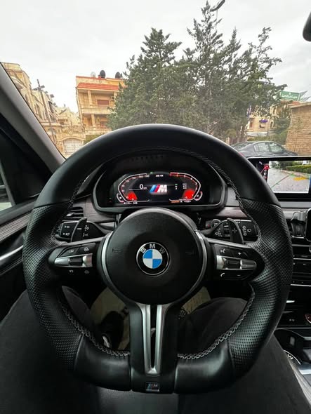 بي ام دبليو إكس 5 2016 - صورة 3