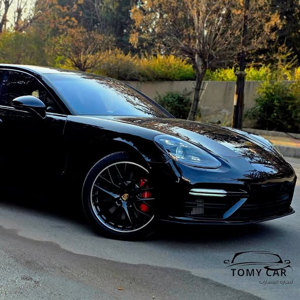 بورش باناميرا 2018 - صورة 3