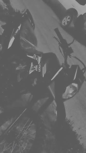 لونسي 200 2024 - صورة 3