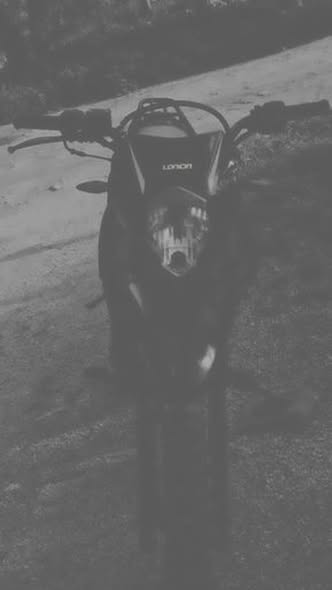 لونسي 200 2024 - صورة 5