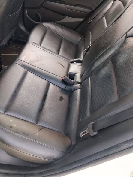 هيونداي النترا 2019 - صورة 5