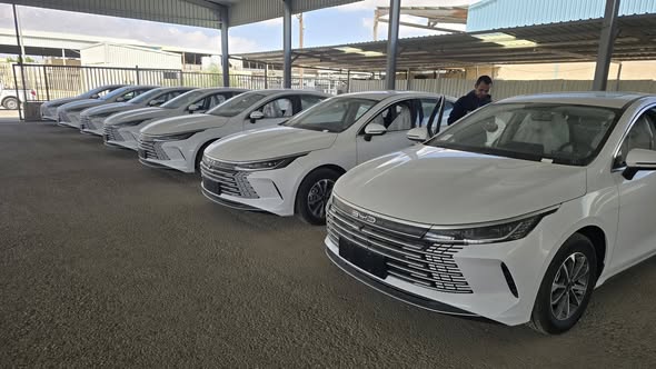 بي واي دي ديستروير 05 2025 - صورة 3