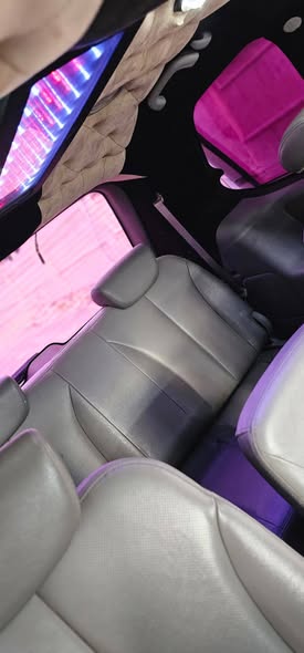 كيا كرنفال 2013 - صورة 3