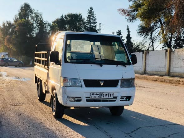 فوتون بيك أب 2010 - صورة 1