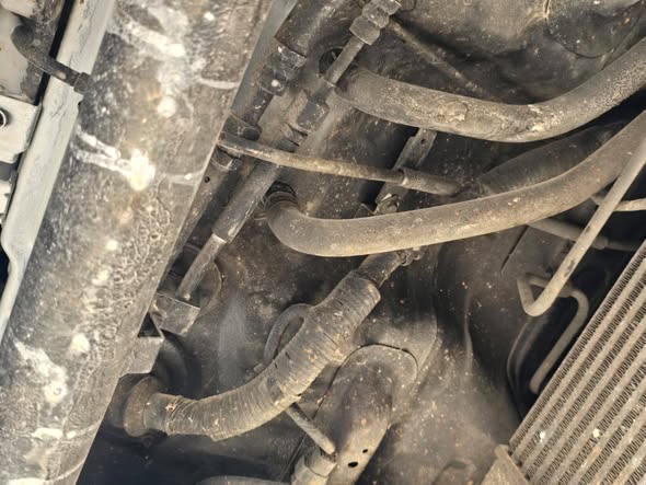 هيونداي بورتر 2009 - صورة 2