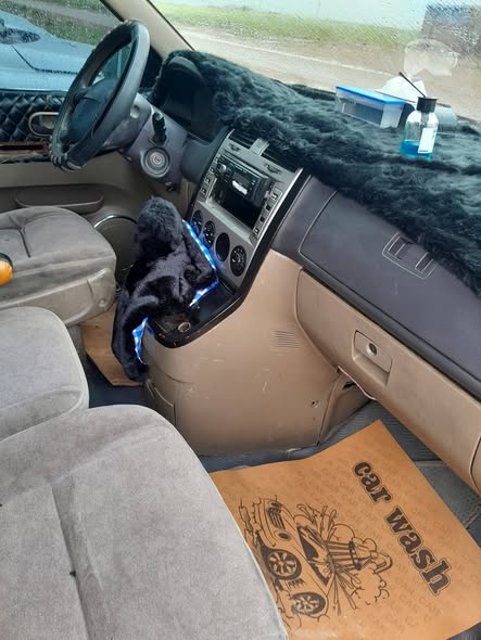 كيا كرنفال 2002 - صورة 2