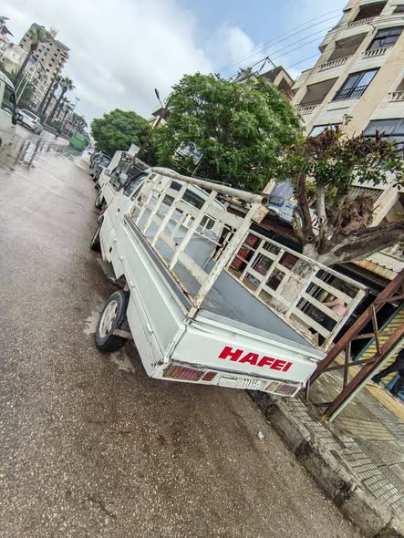 هافي ميني 2010 - صورة 3