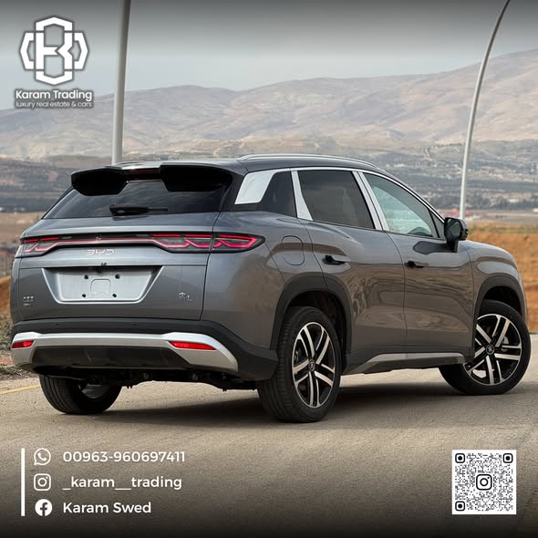 بي واي دي سونج ال 2025 - صورة 3