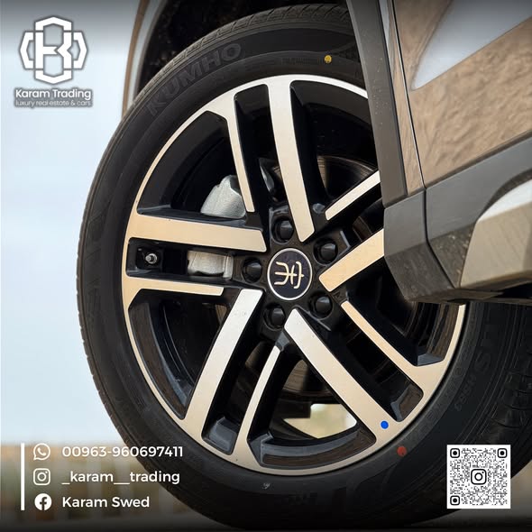 بي واي دي سونج ال 2025 - صورة 5