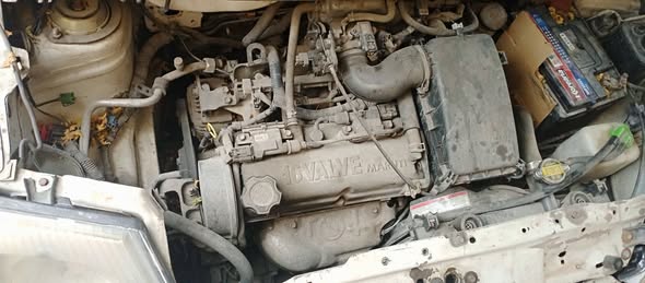 هافي لوبو 2006 - صورة 3