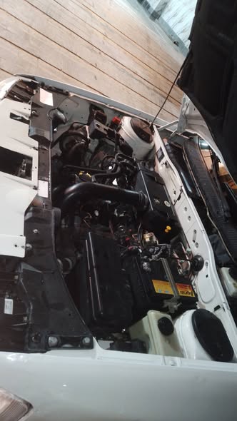 شام شام 2008 - صورة 4