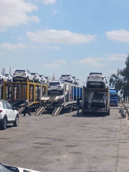 كيا KX1 2026 - صورة 2