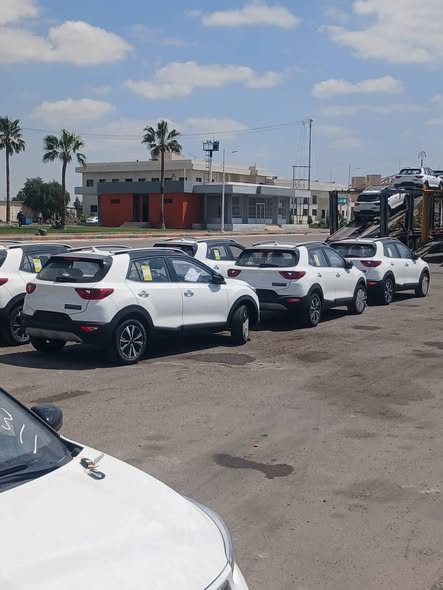 كيا KX1 2026 - صورة 3