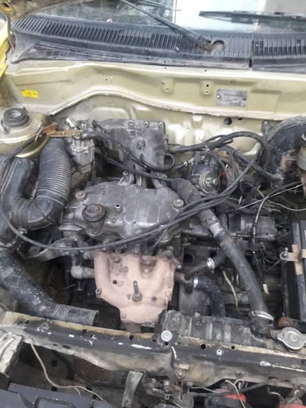 فاو تراست 2006 - صورة 5