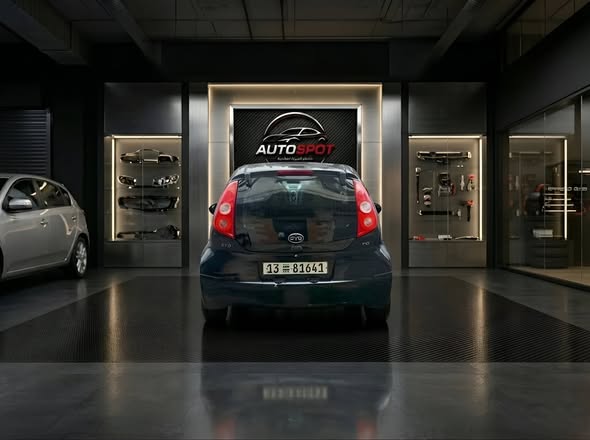 بي واي دي اف 0 2009 - صورة 2