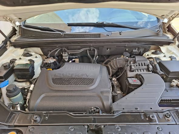 كيا سيرنتو 2010 - صورة 2