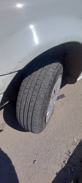 شام شام 2008 - صورة 2