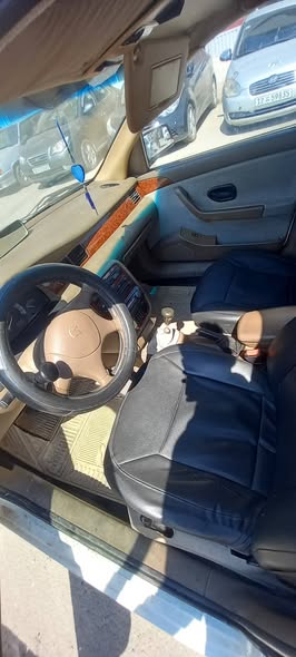 شام شام 2008 - صورة 5