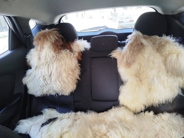 هيونداي توسان 2011 - صورة 3