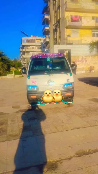 سوزوكي آسيا 1995 - صورة 4