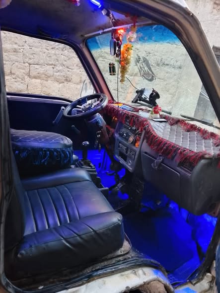 شانا قطة 2007 - صورة 1