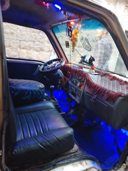 شانا قطة 2007 - صورة 2