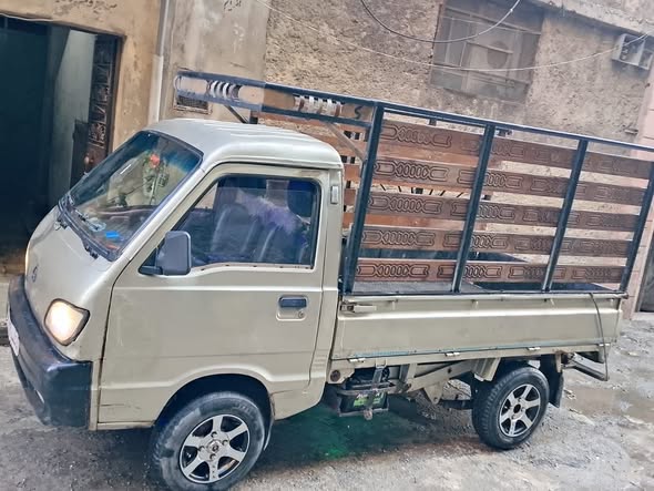 شانا قطة 2007 - صورة 3