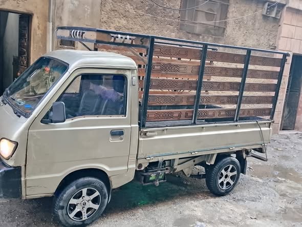 شانا قطة 2007 - صورة 4