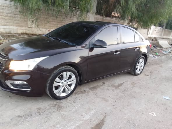 شفر كروز 2016 - صورة 2