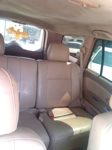 غريت وول هوفر 2007 - صورة 1