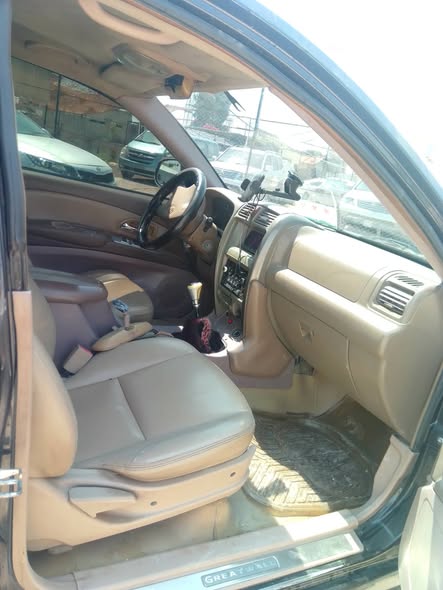 غريت وول هوفر 2007 - صورة 3