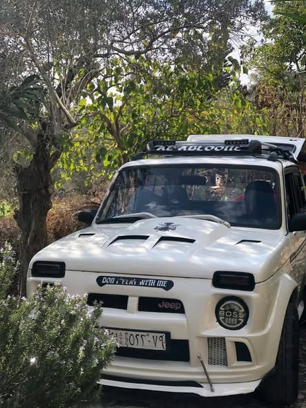 لادا نيفا 2010 - صورة 1