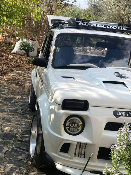 لادا نيفا 2010 - صورة 2