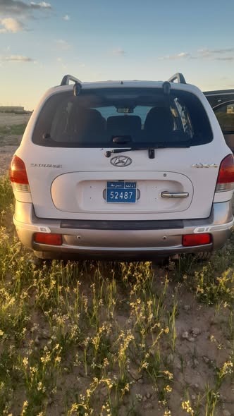 هيونداي سنتافي 2005 - صورة 3