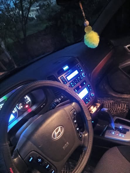 هيونداي سانتا في 2007 - صورة 4