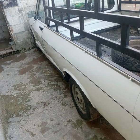 داسيا بيك أب 1994 - صورة 3