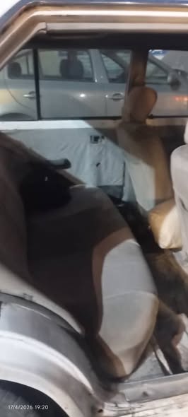 نيسان صني 1983 - صورة 3