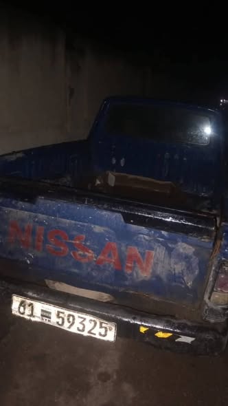 نيسان بيك أب 1992 - صورة 3