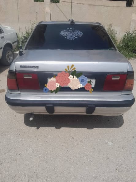 دايو رايسر 1993 - صورة 4