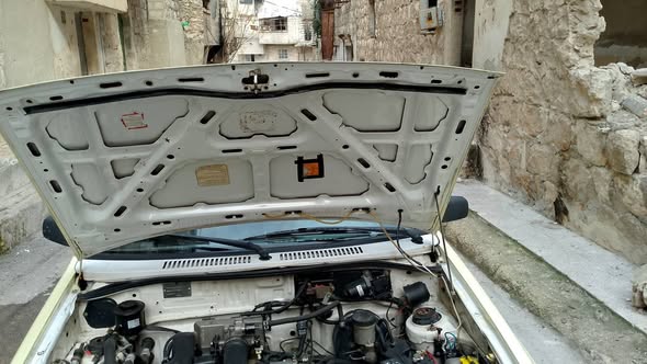 سايبا سابا 2011 - صورة 2