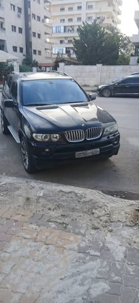 بي ام دبليو اكس 5 2003 - صورة 2