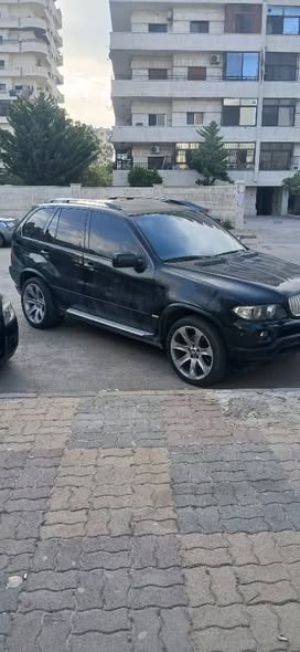 بي ام دبليو اكس 5 2003 - صورة 3