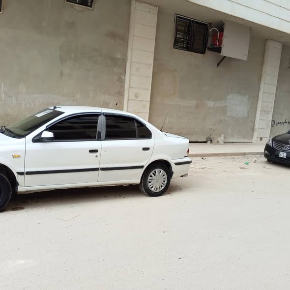 شام شام 2011 - صورة 3