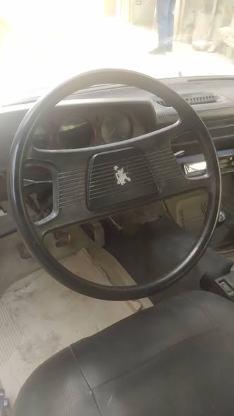 بيجو 504 1976 - صورة 4
